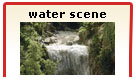 Water Scene