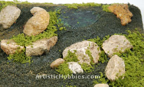 Moss around the rocks
