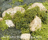 Adding bushes to your diorama